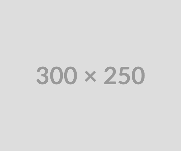 300 x 250